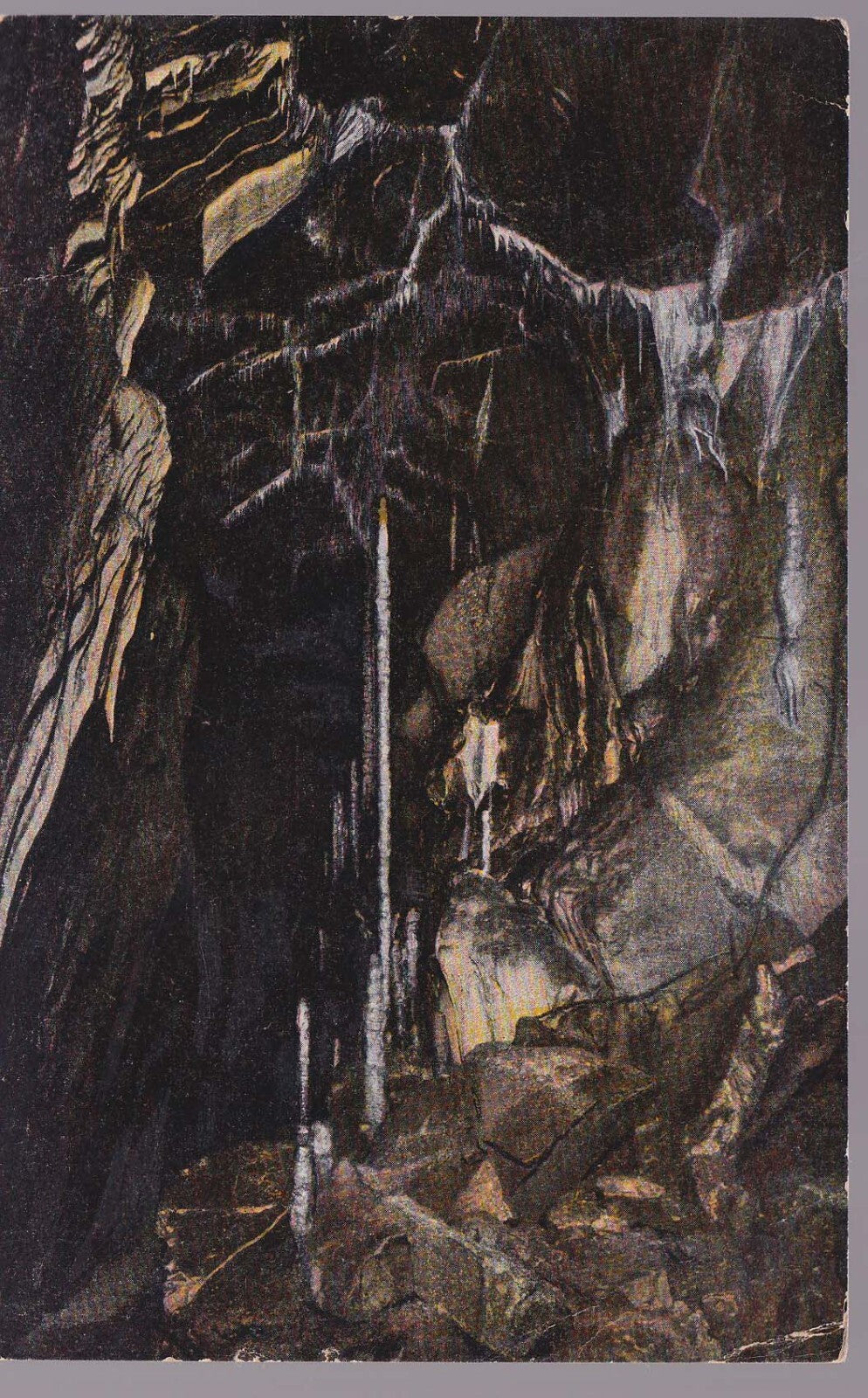 Image #2