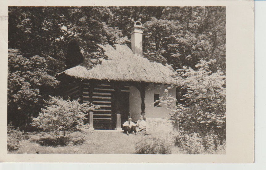 Image #2